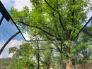 10ft x 14ft Airborne Elite Rectangle Trampoline With Ladder