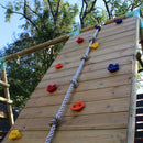 Go Wild Wooden Climbing Wall With 120cm Nest Swing Set - Titan Toys 