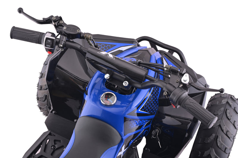 48 volt kids quad bike 